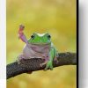 Cute Dumpy Tree Frog Paint By Number