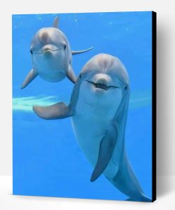 Dolphins Paint By Number