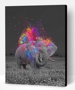 Elephant And Colors Paint By Number