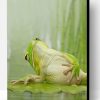Frog Chilling On A Lily Pad Paint By Number