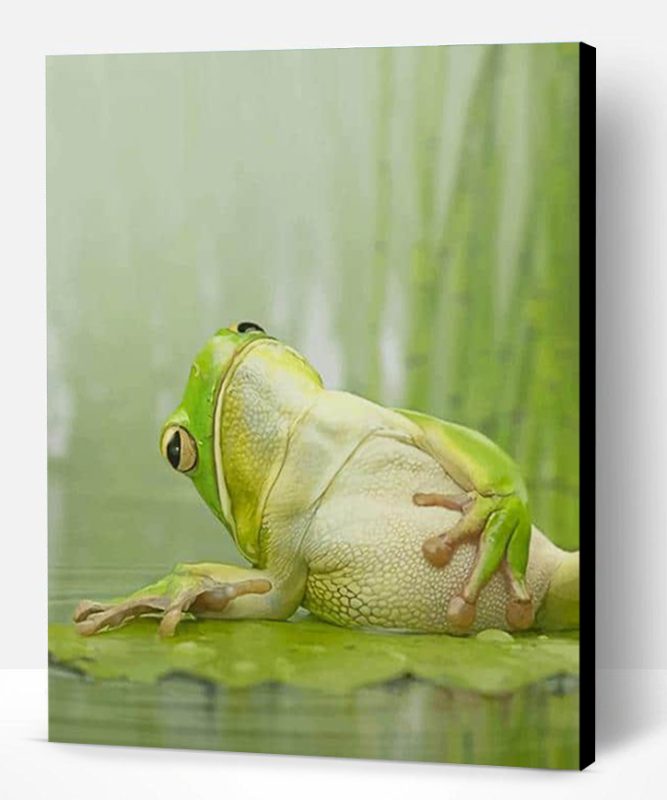 Frog Chilling On A Lily Pad Paint By Number