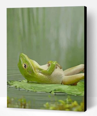 Frog Laying On A Lily Pad Paint By Number