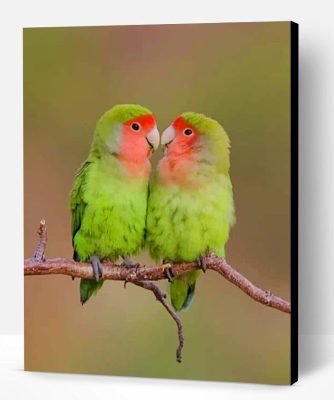 Rosy faced lovebirds Paint By Number