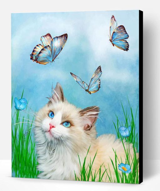 Kitty And Butterflies Paint By Number