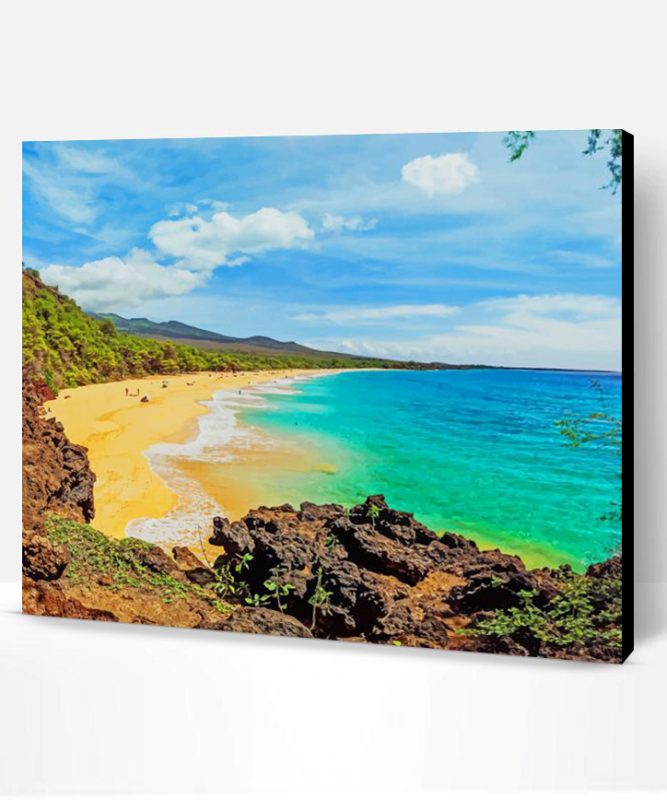 Makena State Park Hawaii NEW Paint By Numbers Paint By Numbers PRO