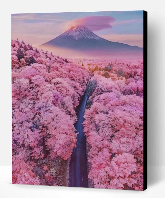 Mt Fuji With Cherry Blossoms Paint By Number