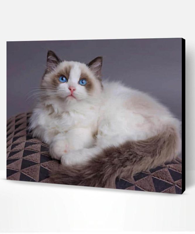 Ragdoll Cat Paint By Number