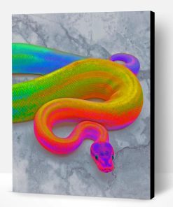 Rainbow Snake Paint By Number