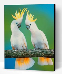 White Cockatoos Paint By Number