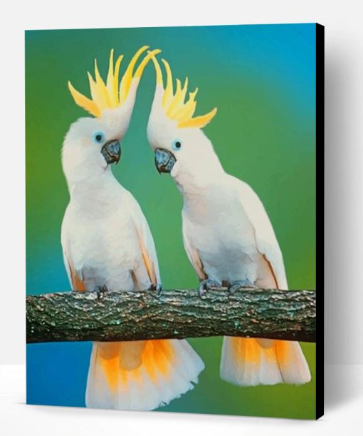 White Cockatoos Paint By Number