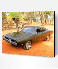 1969 Dodge Charger Matte Black Paint By Number