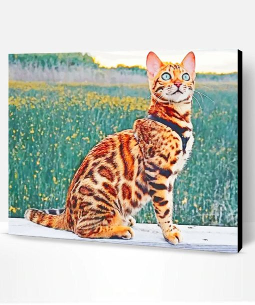 Bengal Cat Paint By Number