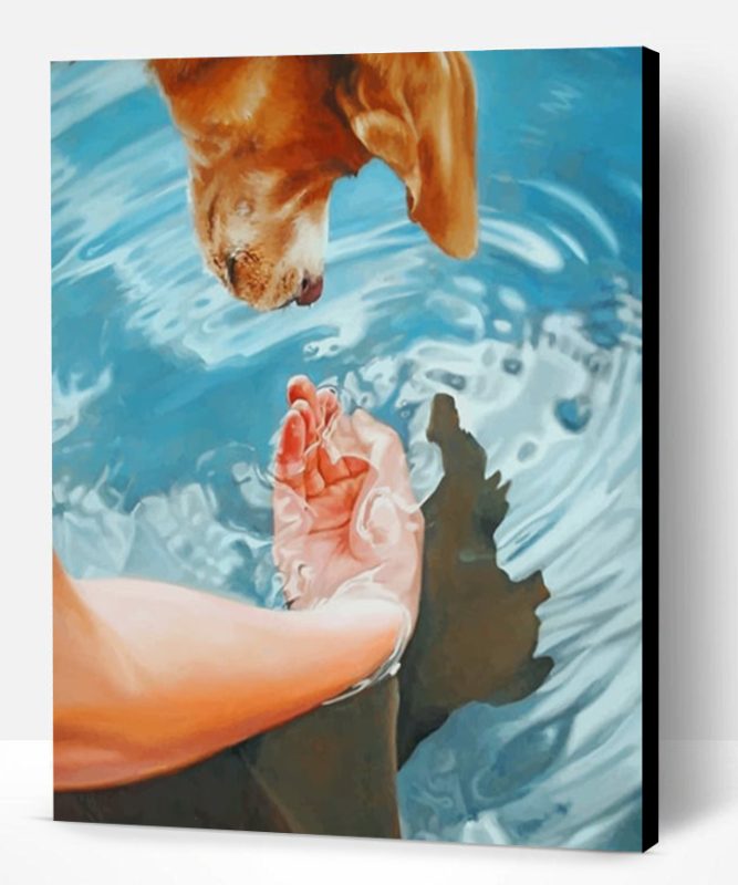 Dog Drinking Water Paint By Number