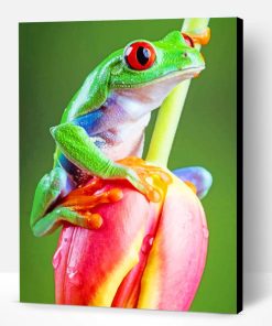 Frog On Tulip Flower Paint By Number