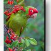 Green Parrot Paint By Number