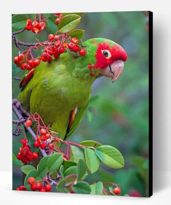 Green Parrot Paint By Number