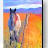 Horse In Field Paint By Number