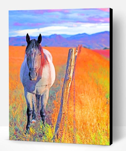 Horse In Field Paint By Number