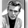 James Dean Paint By Number