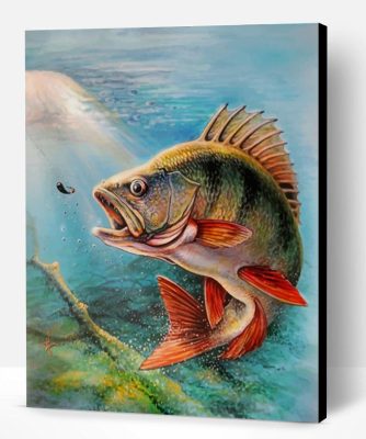 Largemouth Bass Fish Paint By Number