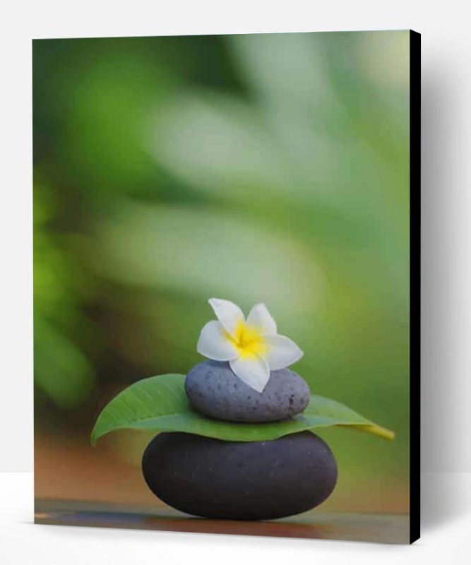 Meditation White Flower and black Rocks Paint By Number
