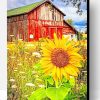 Old Barn And Sunflowers Paint By Number