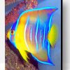 Queen Angelfish Paint By Number
