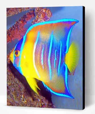 Queen Angelfish Paint By Number