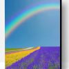 Rainbow In Lavender Field Paint By Number