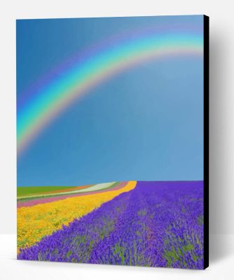 Rainbow In Lavender Field Paint By Number