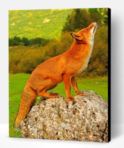 Red Fox Paint By Number