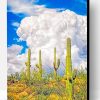 Saguaro National Park Paint By Number