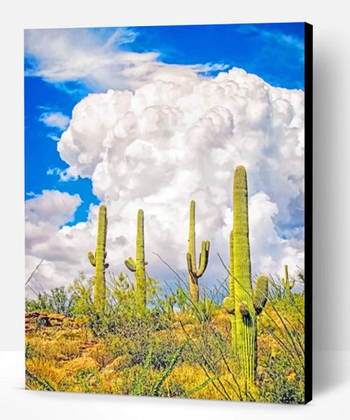 Saguaro National Park Paint By Number