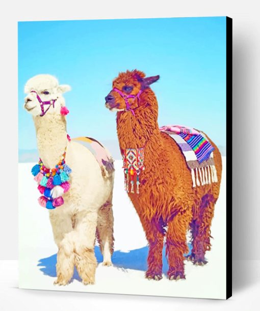 Stylish Alpacas Paint By Number