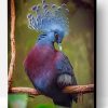 Victoria Crowned Pigeon Paint By Number