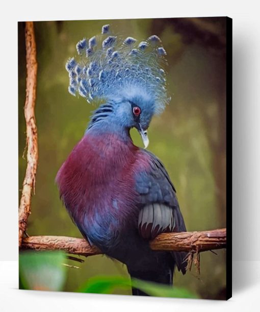 Victoria Crowned Pigeon Paint By Number