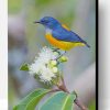 Yellow And Blue Bird Paint By Number