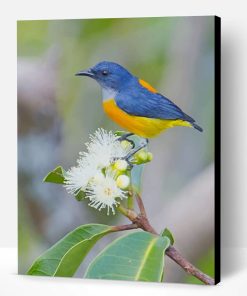 Yellow And Blue Bird Paint By Number