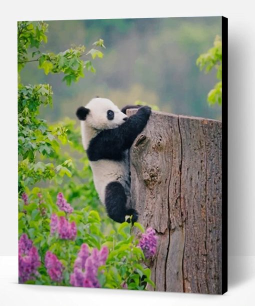 Adorable Panda Paint By Number