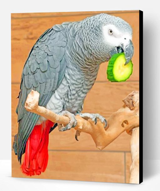 African Grey Paint By Numbers