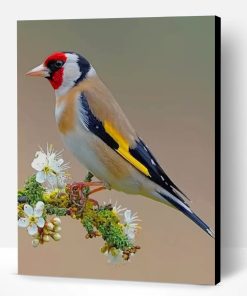 Beautiful Bird Paint By Number
