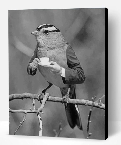 Black And White Bird Drinking Paint By Number