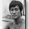 Black And White Bruce Lee Paint By Number