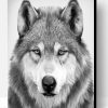 Black And White Wolf Paint By Number