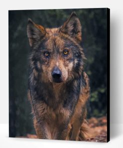 Black And Brown Wolf Paint By Number