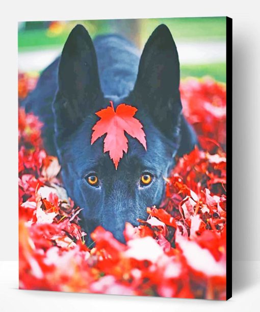 Black German Shepherd Fall Paint By Number