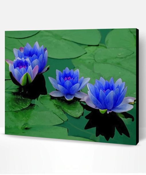 Blue Lotus Flowers Paint By Number