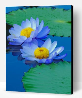 Blue Sacred Lotus Paint By Number