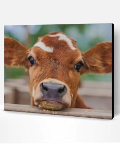 Brown Baby Cow Paint By Number