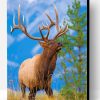 Bull Elk Paint By Number